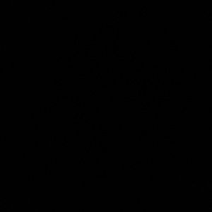 THIS ITEM IS NOT AVAILABLE